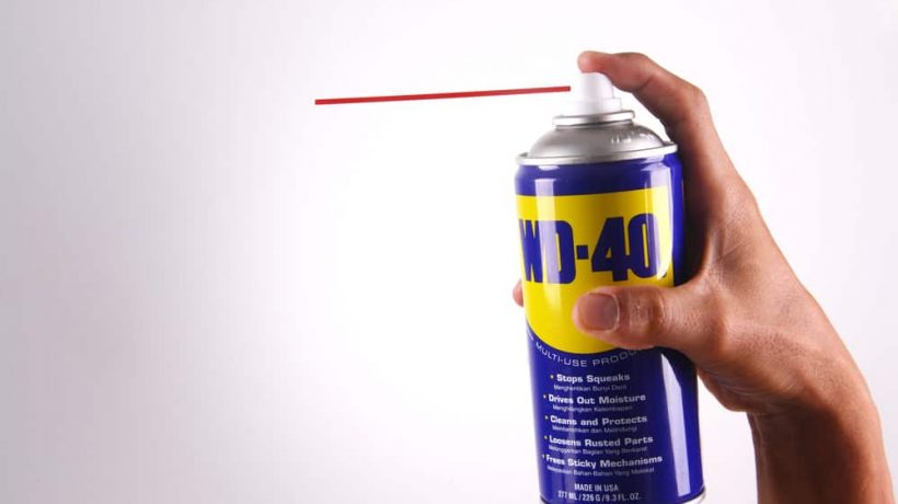 How to get rid of carpenter bees wd40
