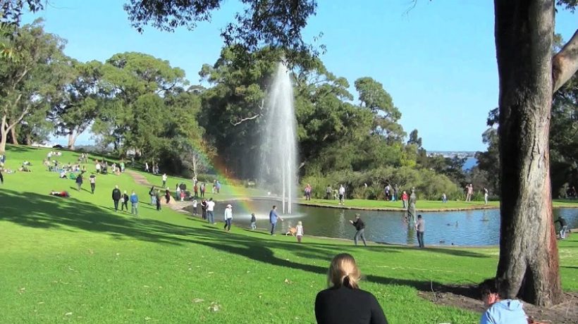 Seven Tips You Need While Growing A Garden