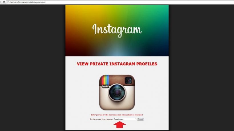 How to view private Instagram profiles