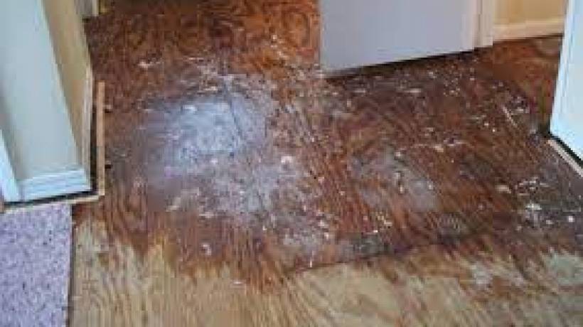 What is Water Damage?