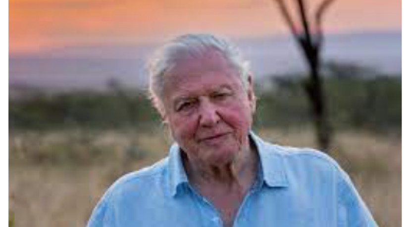 The impressive career of David Attenborough