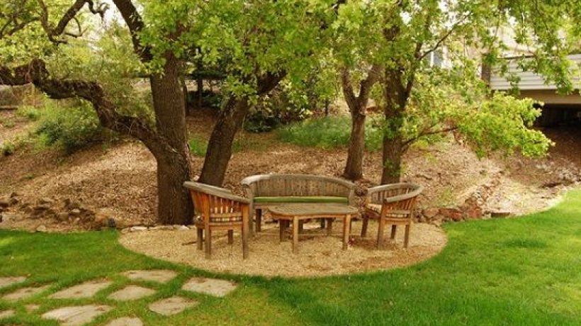 Why Are There Seating Areas Under Trees? And Why Should You Care?
