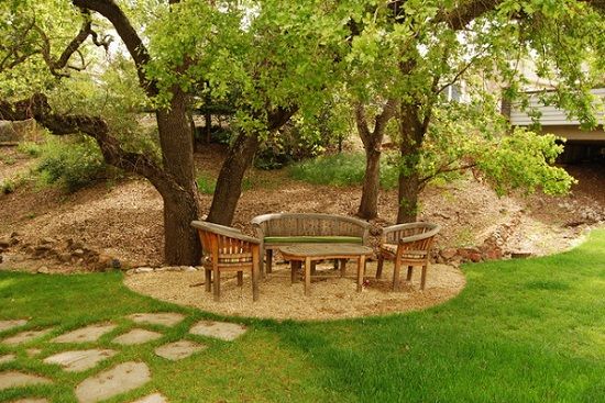 Seating Areas Under Tree