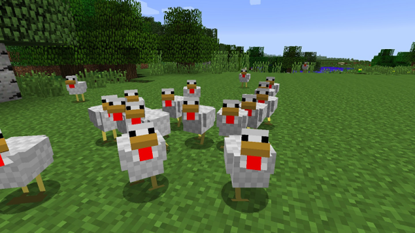 How to breed chickens in minecraft?