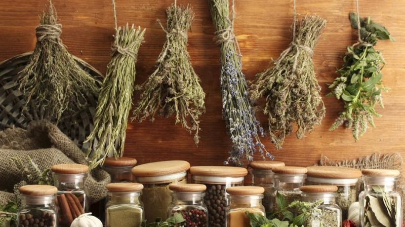 How to Dry Herbs