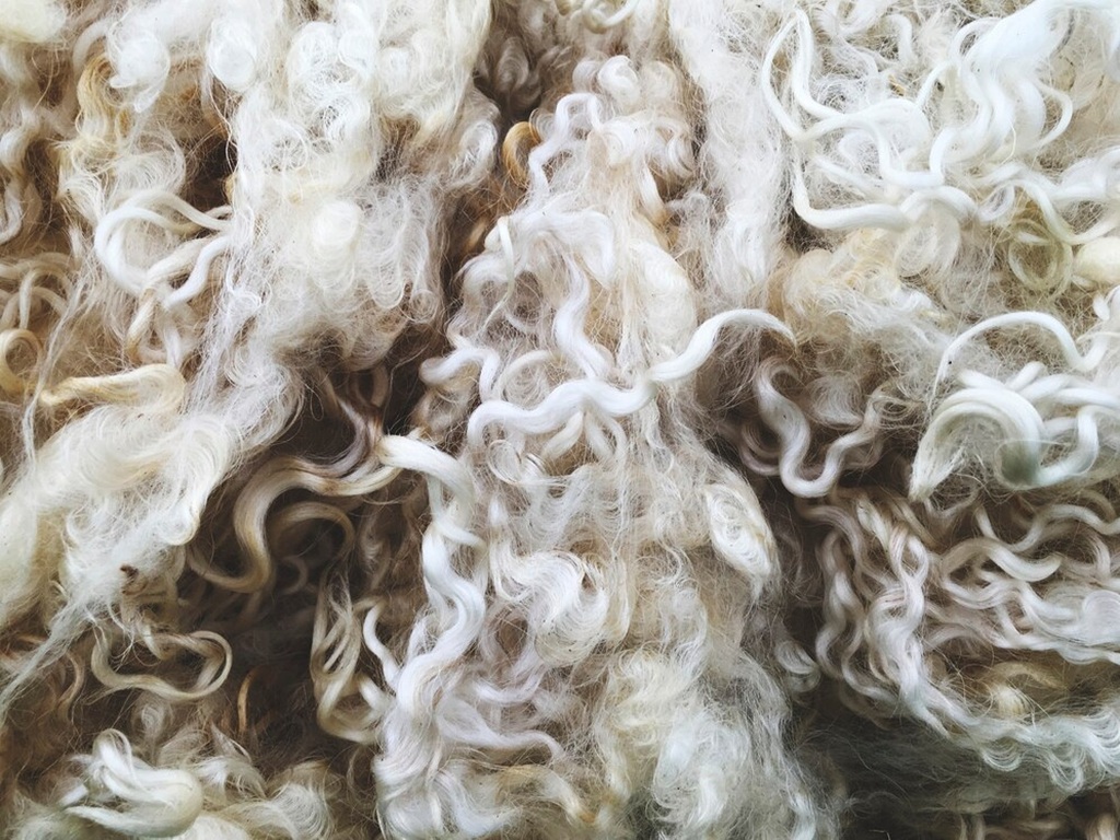 Holy Lamb Organics Wool Crib Comforter