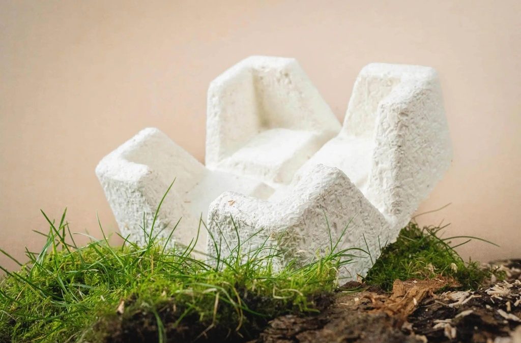 Can mycelium replace styrofoam?