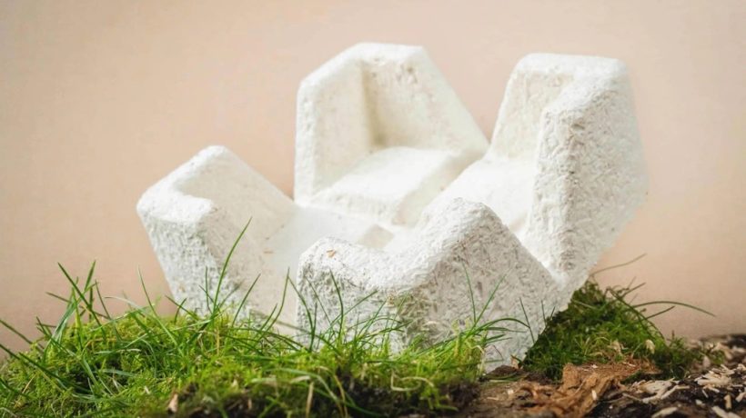 The Ultimate Showdown: Mycelium Packaging vs. Styrofoam – A Deep Dive into Durability