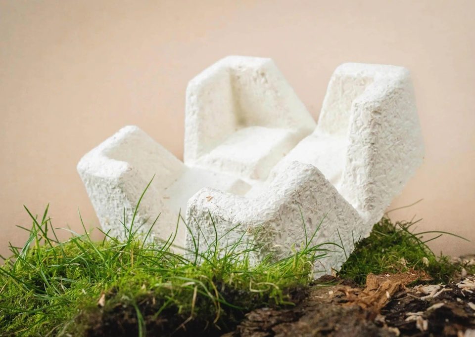 Can mycelium replace styrofoam?