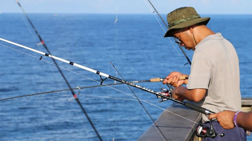 Seasonal Fishing Guide: What Gear to Use and When to Use It