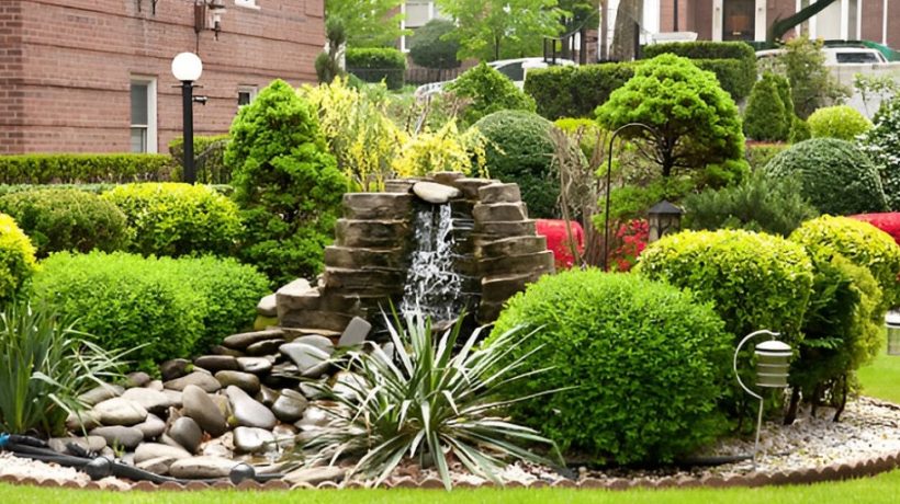 The Art of Hardscape Design: Rocks, Driftwood, and Layout Ideas