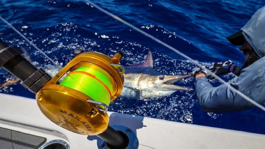 Fishing Etiquette for Inshore and Saltwater Flats