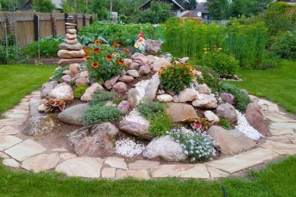 What plants work well with rocks and driftwood layouts