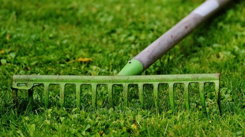 Summer Lawn Care Tips for Sunny Los Angeles
