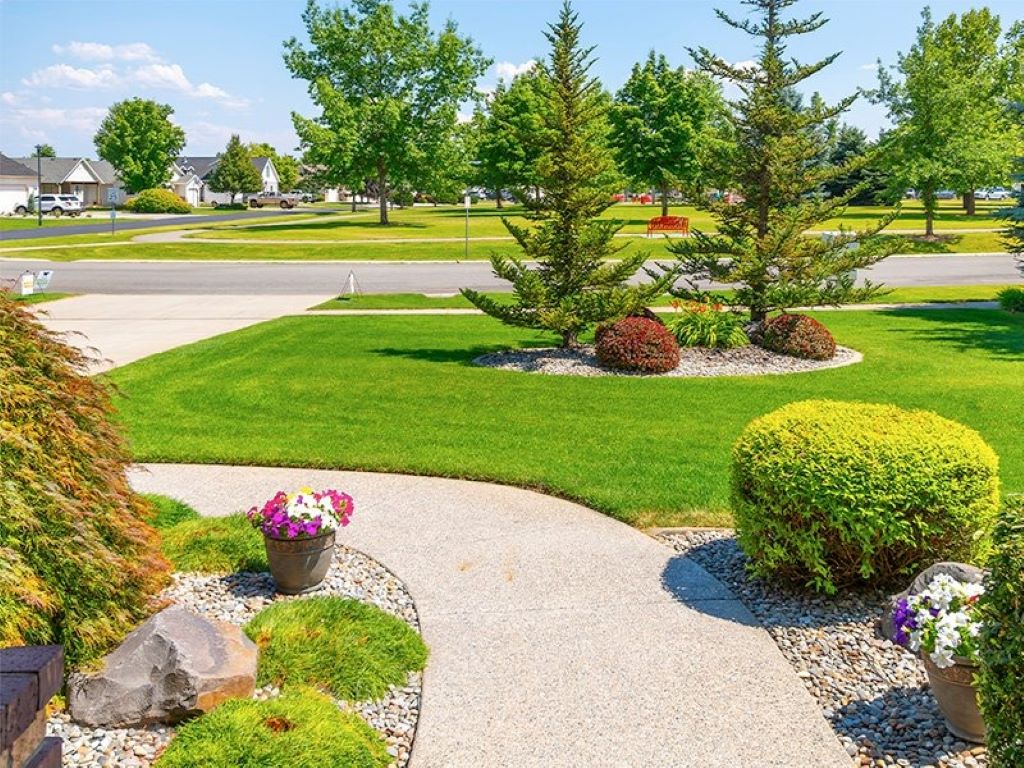 A Beginner's Guide to Lawn Care in Spring and Summer
