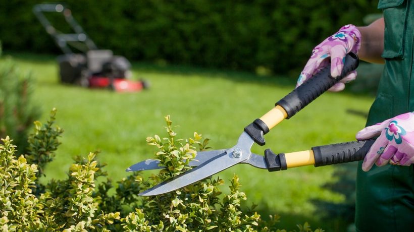 Oklahoma City Home Gardening – Wind‑Resistant Gardens & Soil Prep