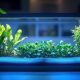 Starting a fish tank for beginners checklist