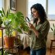 Indoor apartment plants in Denver near sunny window with natural pest prevention setup