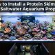 Saltwater reef aquarium with text overlay reading how to install a protein skimmer properly.