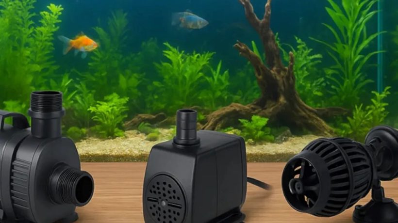 How to Select the Right Water Pump Based on Tank Size