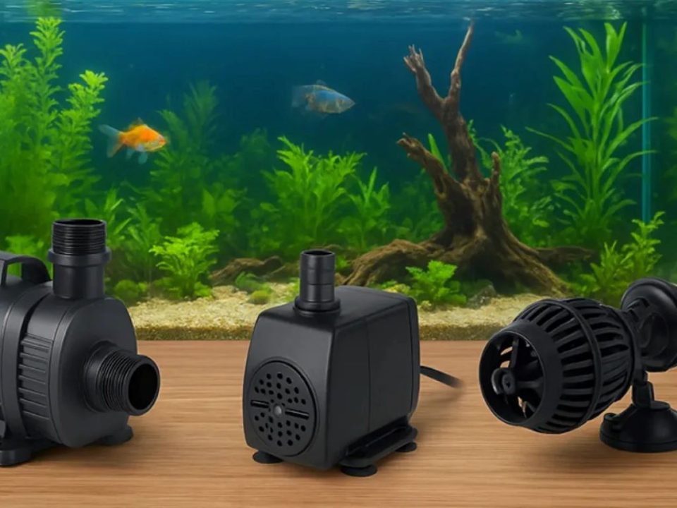 Aquarium water pumps matched to different fish tank sizes